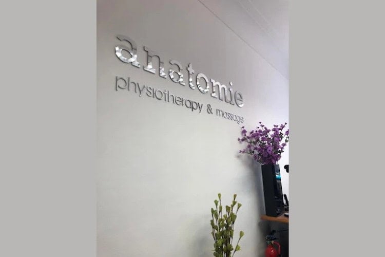Anatomie Physiotherapy