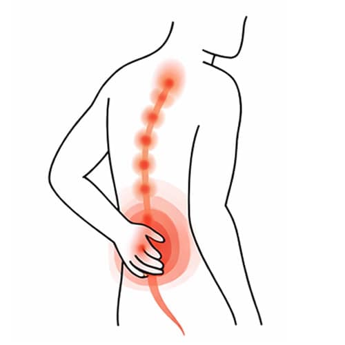 The Sciatic Nerve Runs from Your Lower Back to Your Foot